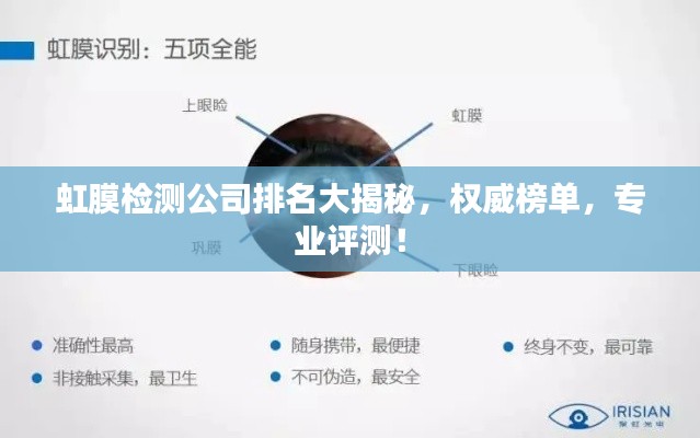 虹膜檢測公司排名大揭秘，權(quán)威榜單，專業(yè)評測！