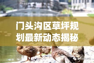 門頭溝區(qū)草坪規(guī)劃最新動(dòng)態(tài)揭秘，國內(nèi)草坪規(guī)劃趨勢(shì)與展望