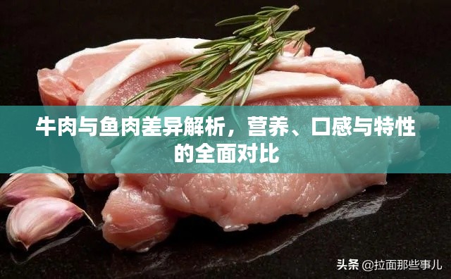 牛肉與魚肉差異解析，營養(yǎng)、口感與特性的全面對比