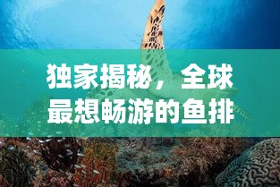 獨(dú)家揭秘，全球最想暢游的魚排名榜！