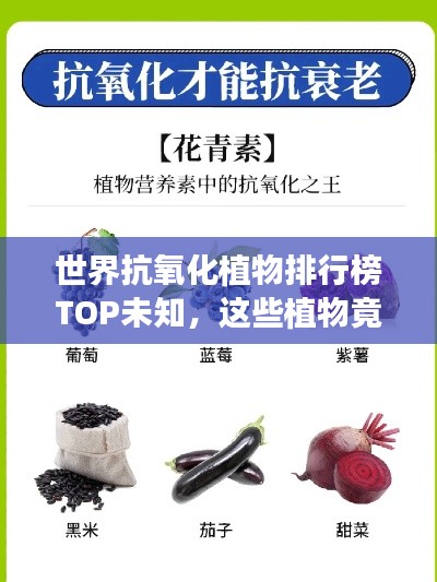 世界抗氧化植物排行榜TOP未知，這些植物竟能抵抗衰老！