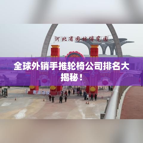 全球外銷手推輪椅公司排名大揭秘！