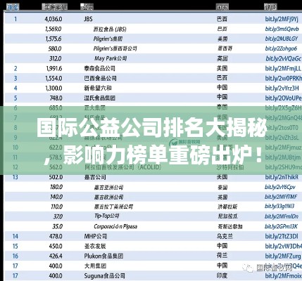 國(guó)際公益公司排名大揭秘，影響力榜單重磅出爐！