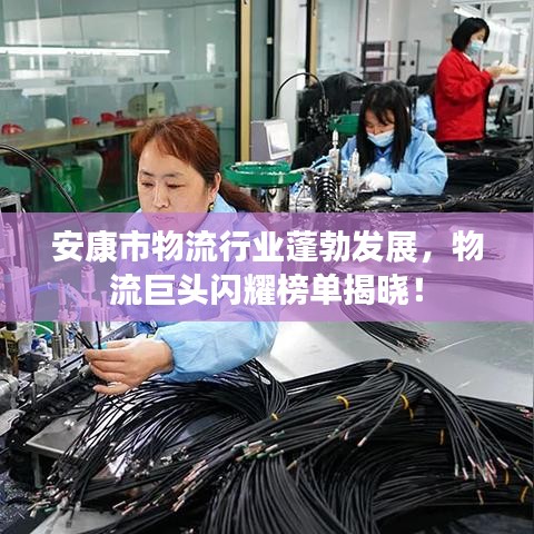 安康市物流行業(yè)蓬勃發(fā)展，物流巨頭閃耀榜單揭曉！