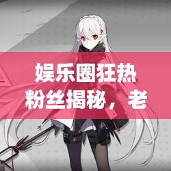 娛樂圈狂熱粉絲揭秘，老婆粉背后的故事與數(shù)字時代的共享文化沖擊