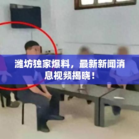 濰坊獨(dú)家爆料，最新新聞消息視頻揭曉！