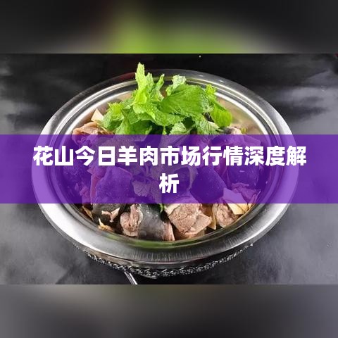 花山今日羊肉市場行情深度解析