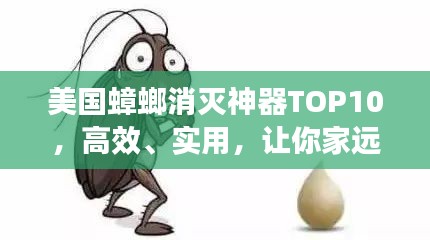 美國蟑螂消滅神器TOP10，高效、實用，讓你家遠離小強侵擾！