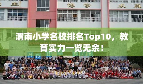 渭南小學(xué)名校排名Top10，教育實力一覽無余！