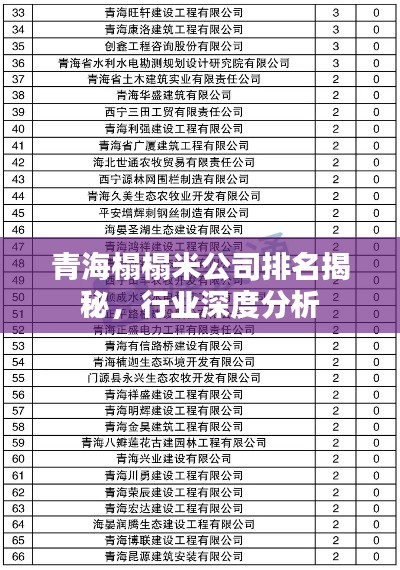 聯(lián)系我們 第13頁