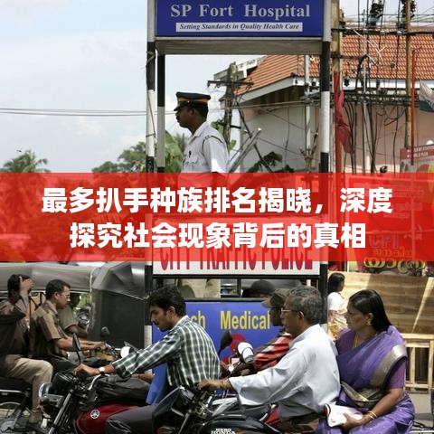 最多扒手種族排名揭曉，深度探究社會(huì)現(xiàn)象背后的真相
