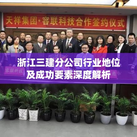 浙江三建分公司行業(yè)地位及成功要素深度解析