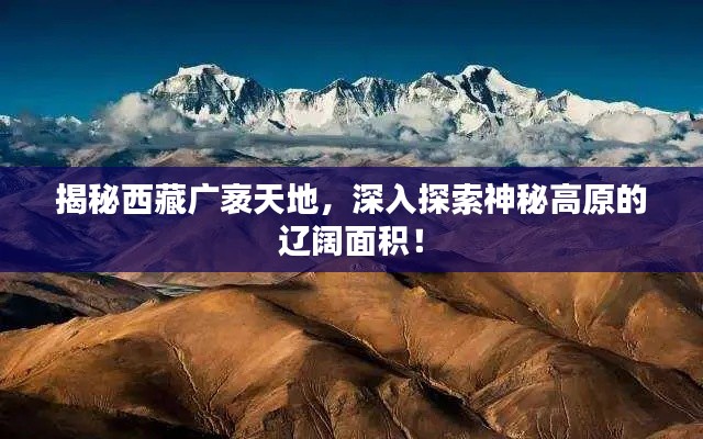 揭秘西藏廣袤天地，深入探索神秘高原的遼闊面積！