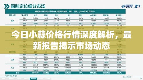 今日小蒜價(jià)格行情深度解析，最新報(bào)告揭示市場(chǎng)動(dòng)態(tài)