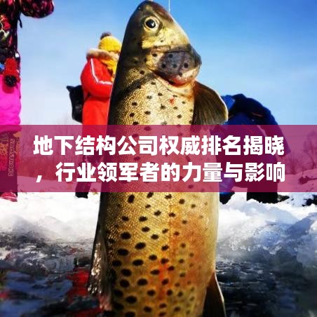 地下結(jié)構(gòu)公司權(quán)威排名揭曉，行業(yè)領軍者的力量與影響力榜單！