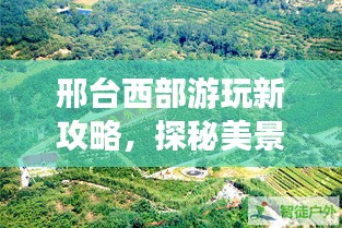 蟲書鳥篆