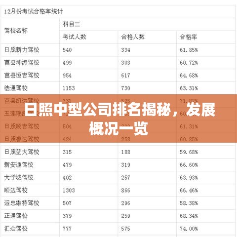 日照中型公司排名揭秘，發(fā)展概況一覽