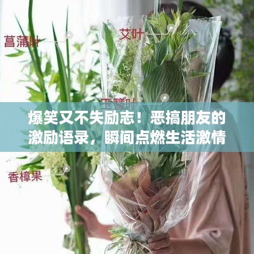 爆笑又不失勵(lì)志！惡搞朋友的激勵(lì)語(yǔ)錄，瞬間點(diǎn)燃生活激情！