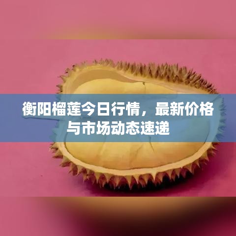衡陽榴蓮今日行情，最新價(jià)格與市場(chǎng)動(dòng)態(tài)速遞