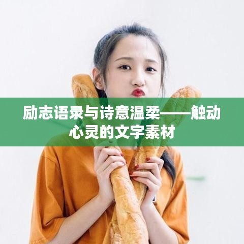 勵(lì)志語(yǔ)錄與詩(shī)意溫柔——觸動(dòng)心靈的文字素材