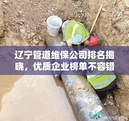遼寧管道維保公司排名揭曉，優(yōu)質(zhì)企業(yè)榜單不容錯過！