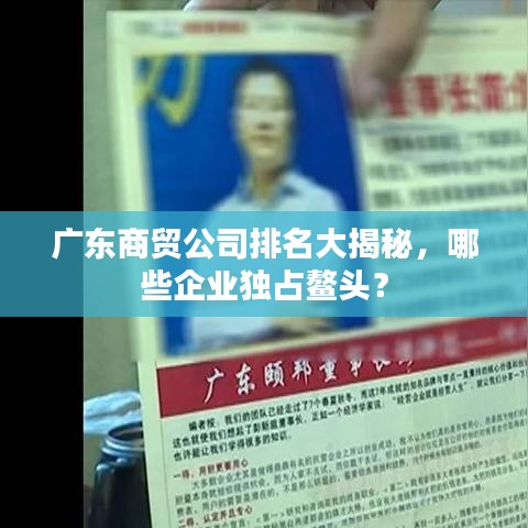 廣東商貿(mào)公司排名大揭秘，哪些企業(yè)獨(dú)占鰲頭？