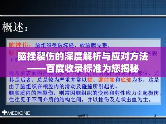 腦挫裂傷的深度解析與應(yīng)對方法——百度收錄標(biāo)準(zhǔn)為您揭秘