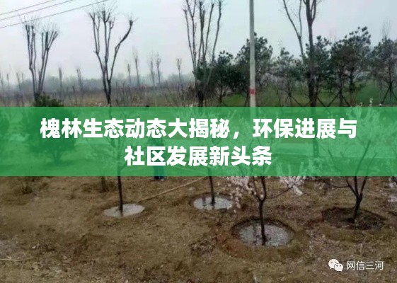 槐林生態(tài)動(dòng)態(tài)大揭秘，環(huán)保進(jìn)展與社區(qū)發(fā)展新頭條