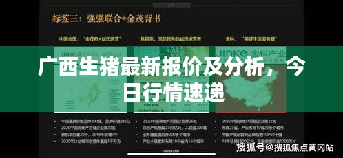 廣西生豬最新報(bào)價(jià)及分析，今日行情速遞
