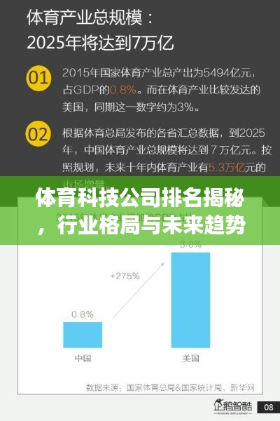 體育科技公司排名揭秘，行業(yè)格局與未來(lái)趨勢(shì)展望