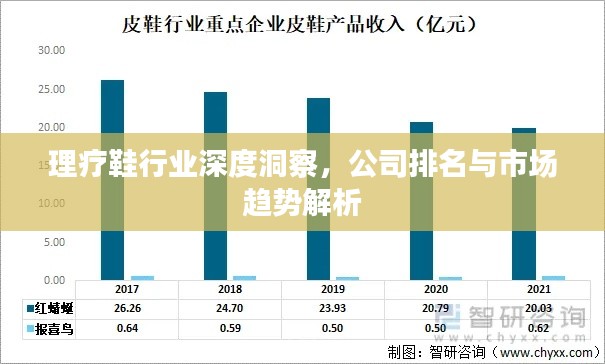 理療鞋行業(yè)深度洞察，公司排名與市場(chǎng)趨勢(shì)解析