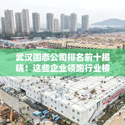 武漢固態(tài)公司排名前十揭曉！這些企業(yè)領(lǐng)跑行業(yè)榜單