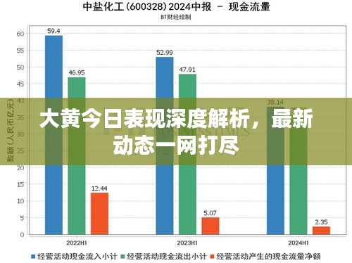 大黃今日表現(xiàn)深度解析，最新動(dòng)態(tài)一網(wǎng)打盡