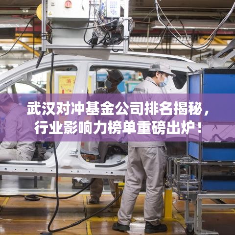 武漢對沖基金公司排名揭秘，行業(yè)影響力榜單重磅出爐！