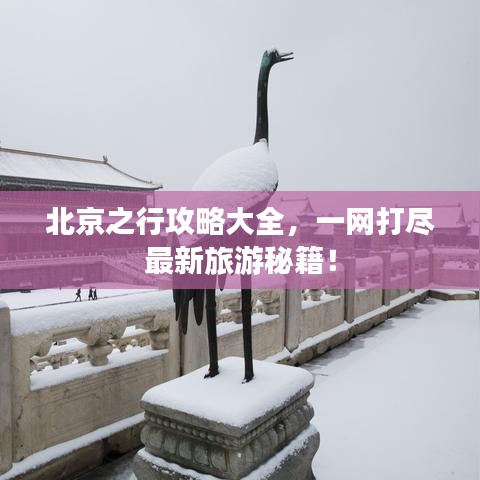 北京之行攻略大全，一網(wǎng)打盡最新旅游秘籍！