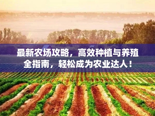 最新農(nóng)場(chǎng)攻略，高效種植與養(yǎng)殖全指南，輕松成為農(nóng)業(yè)達(dá)人！