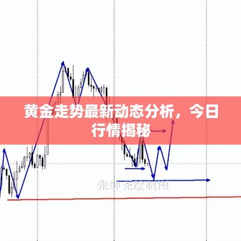 黃金走勢最新動(dòng)態(tài)分析，今日行情揭秘