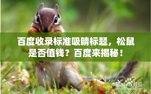 百度收錄標(biāo)準(zhǔn)吸睛標(biāo)題，松鼠是否值錢？百度來(lái)揭秘！