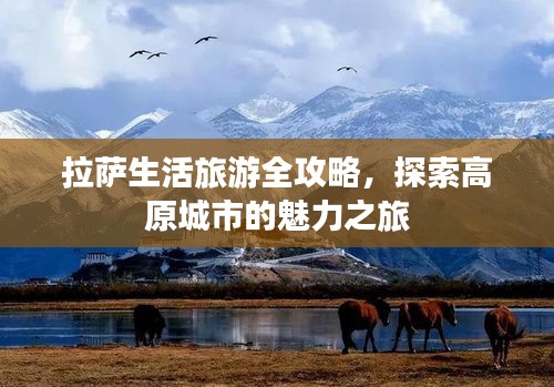 拉薩生活旅游全攻略，探索高原城市的魅力之旅