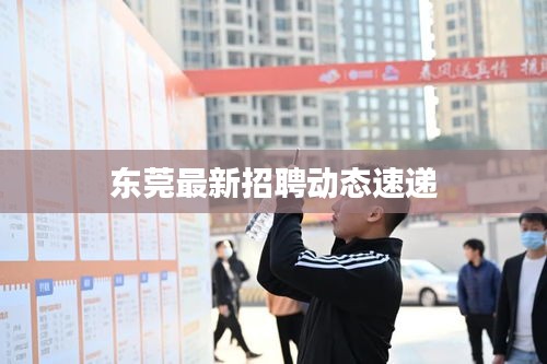 東莞最新招聘動(dòng)態(tài)速遞