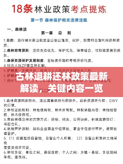 古林退耕還林政策最新解讀，關(guān)鍵內(nèi)容一覽