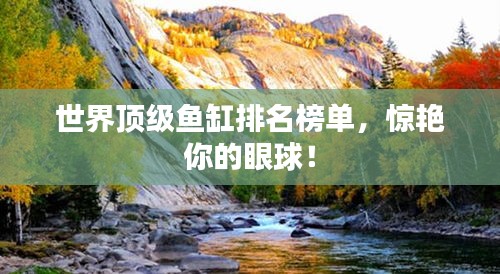 世界頂級魚缸排名榜單，驚艷你的眼球！