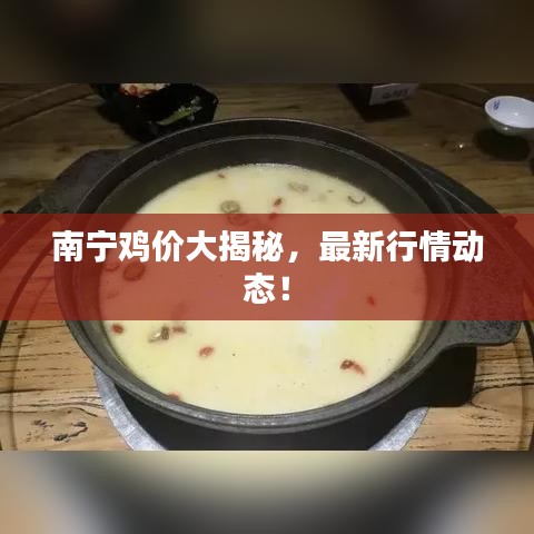 南寧雞價(jià)大揭秘，最新行情動(dòng)態(tài)！