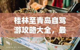 桂林至青島自駕游攻略大全，最新路線、住宿、美食一網(wǎng)打盡！