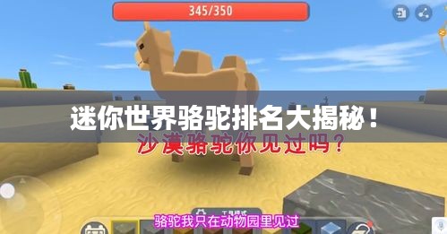 迷你世界駱駝排名大揭秘！