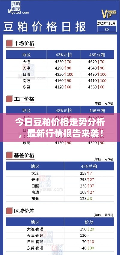 今日豆粕價(jià)格走勢(shì)分析，最新行情報(bào)告來(lái)襲！