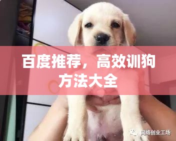 百度推薦，高效訓(xùn)狗方法大全