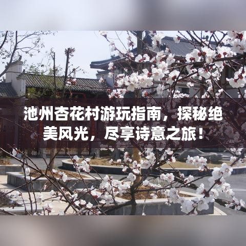 池州杏花村游玩指南，探秘絕美風光，盡享詩意之旅！