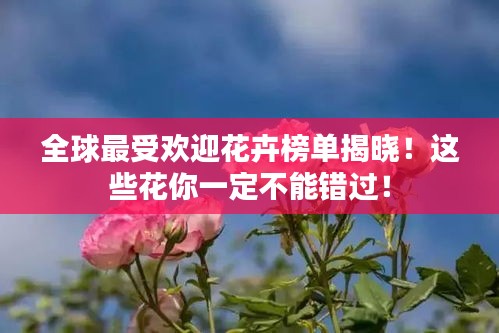 全球最受歡迎花卉榜單揭曉！這些花你一定不能錯過！