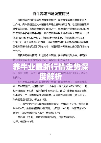 養(yǎng)牛業(yè)最新行情走勢(shì)深度解析